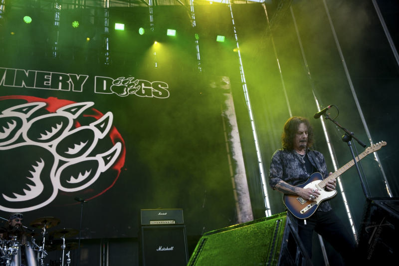 Winery Dogs