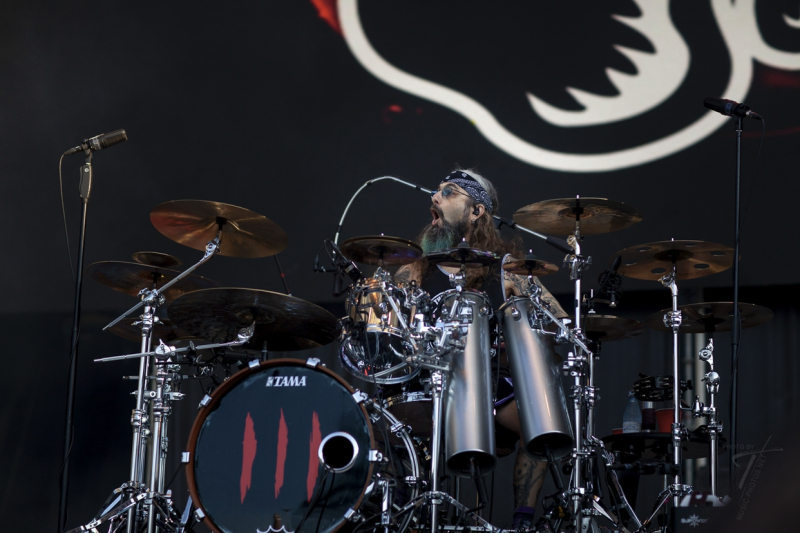 Winery Dogs