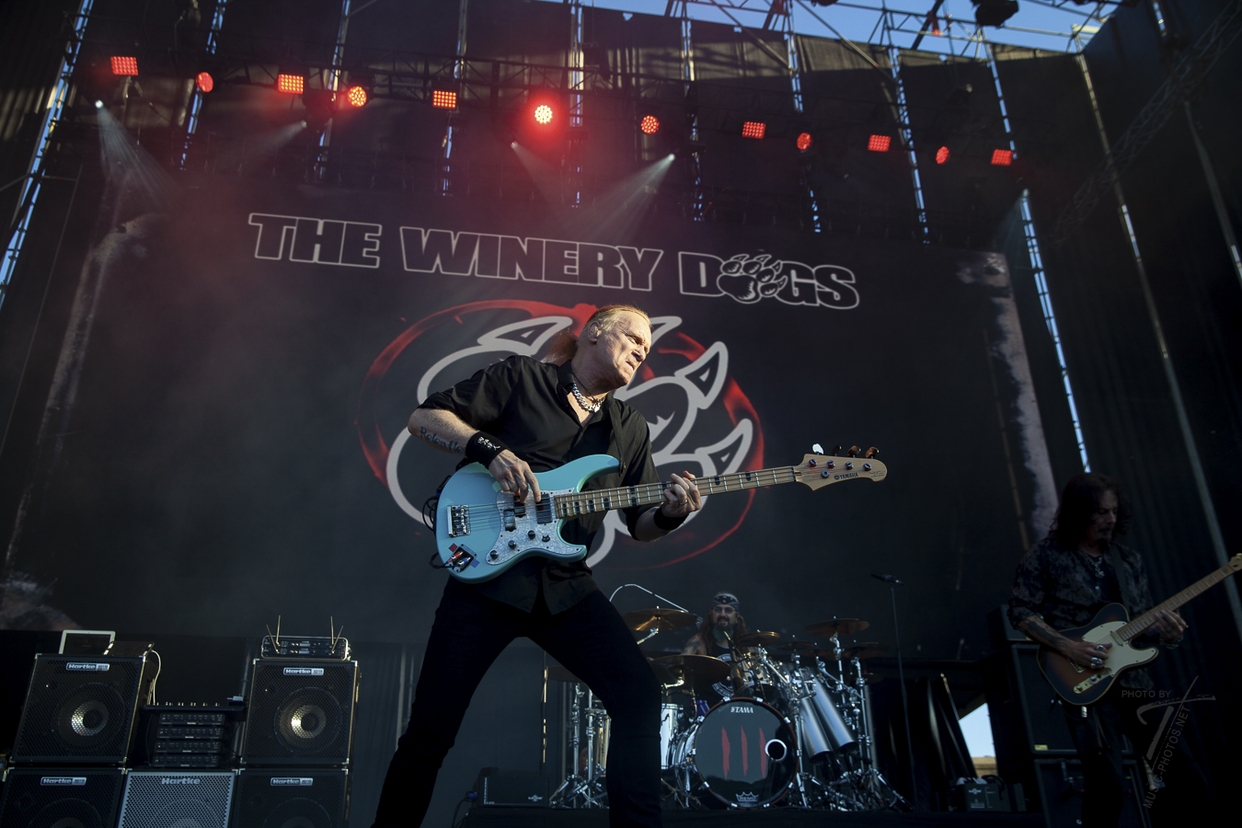 Winery Dogs
