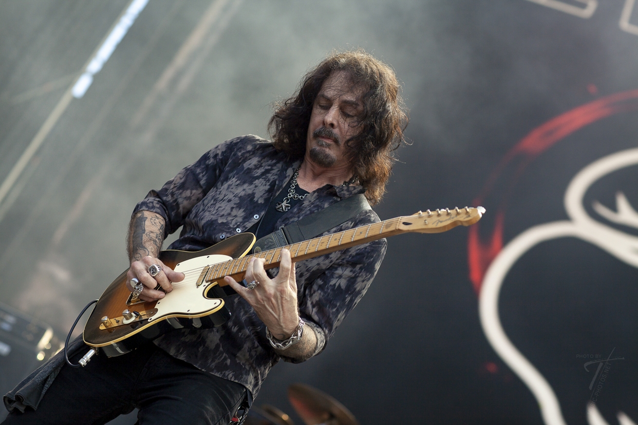 Winery Dogs