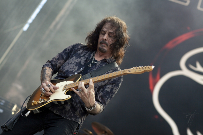 Winery Dogs