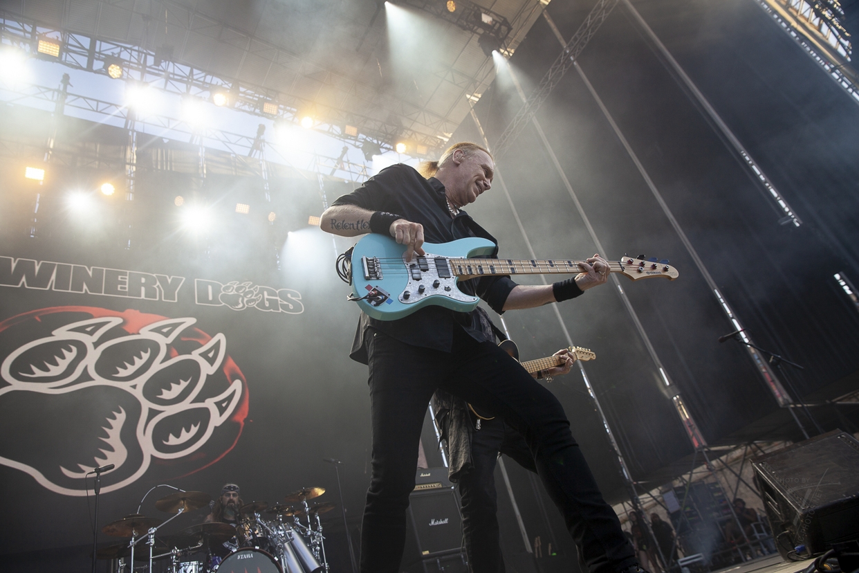 Winery Dogs