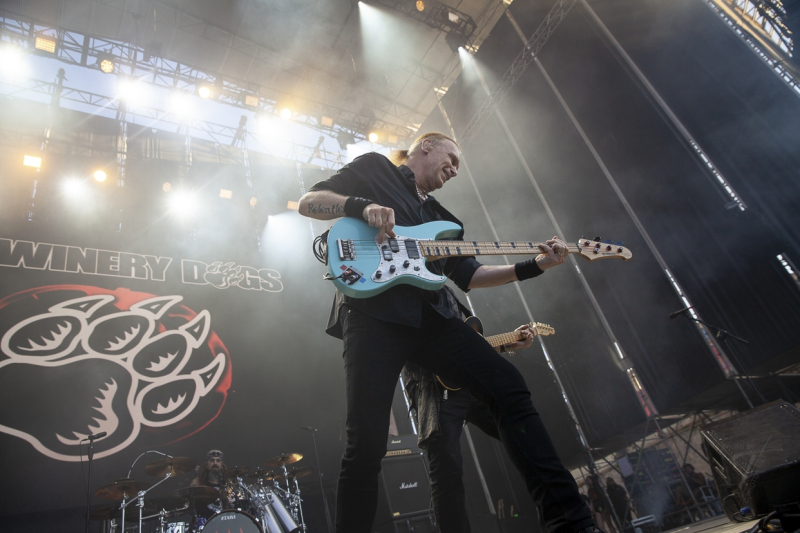 Winery Dogs