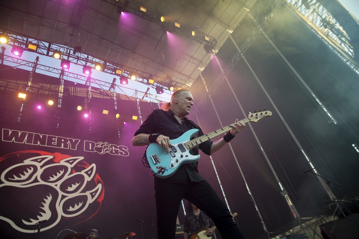 Winery Dogs