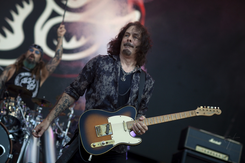 Winery Dogs