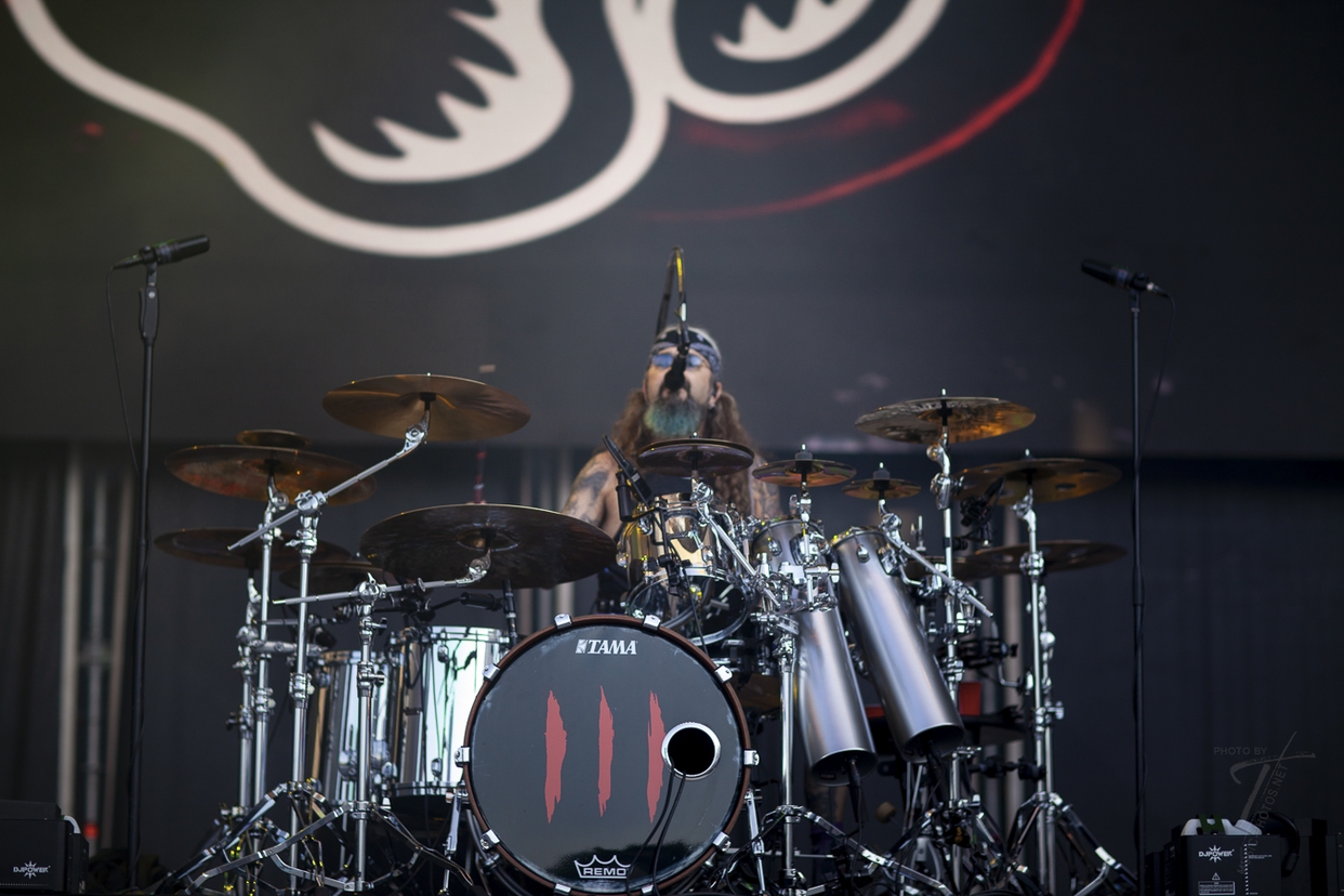 Winery Dogs