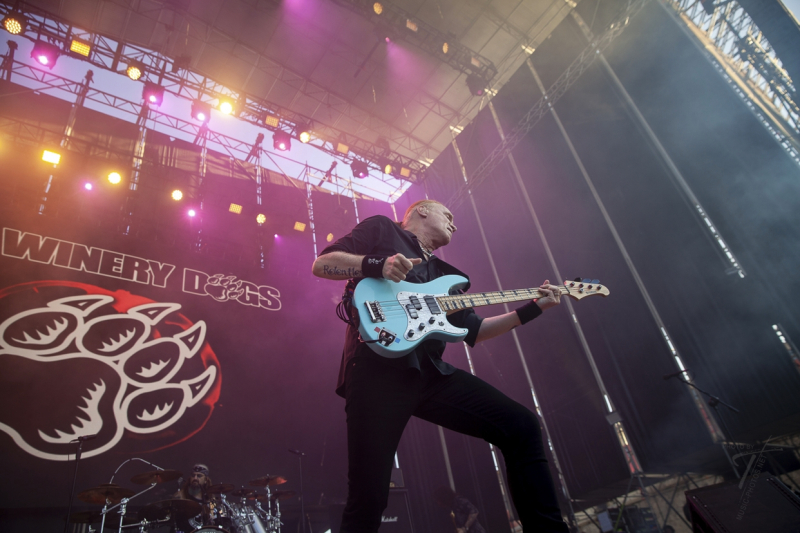 Winery Dogs