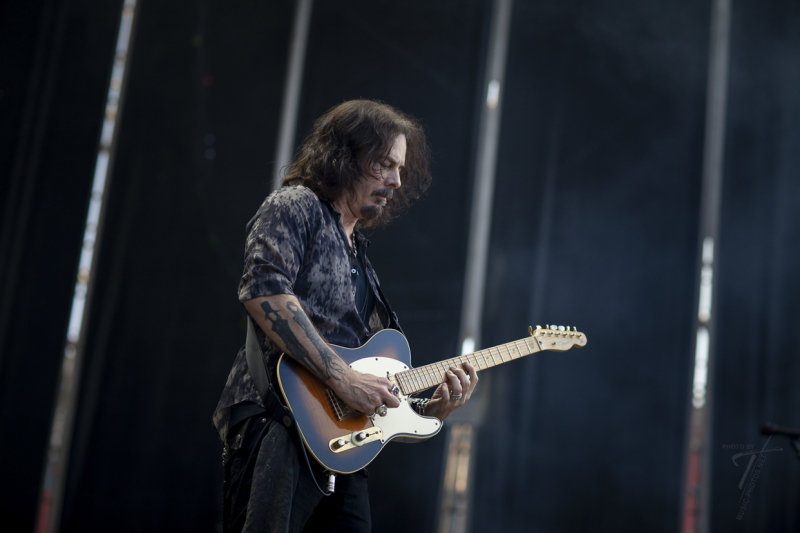 Winery Dogs